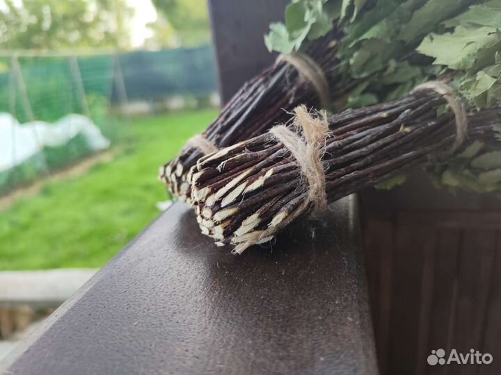 Березовые веники