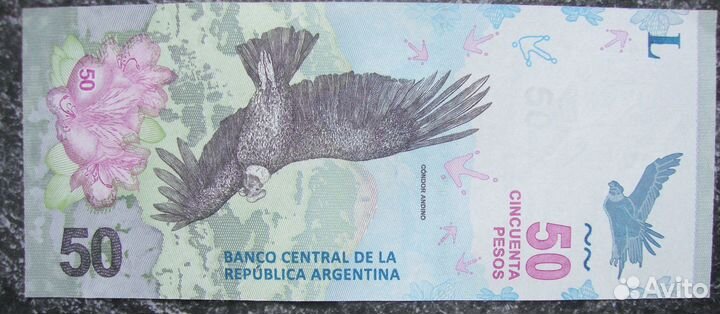 Монета и банкнота с кондором (Чили и Аргентина)