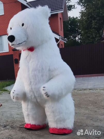 Белый мишка 