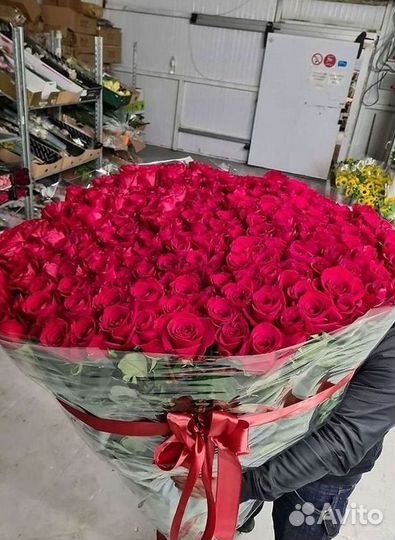 Розы Высокие 150см 160см 170см 180см 190см 2м