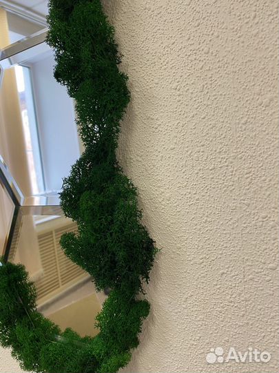 Стабилизированный мох