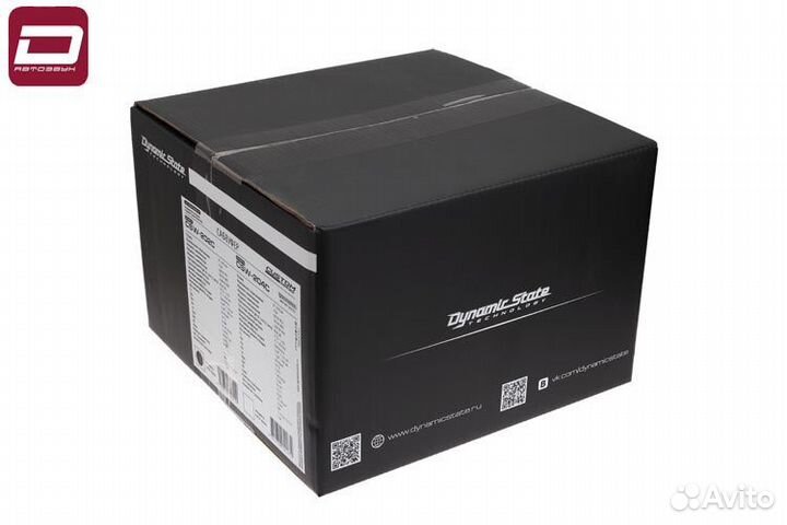 Dynamic State custom CSW-202C сабвуфер 8
