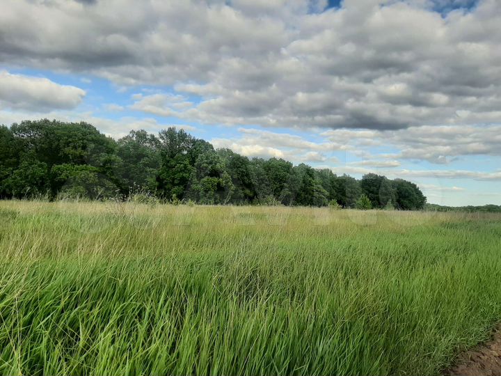 Участок 10 сот. (ИЖС)