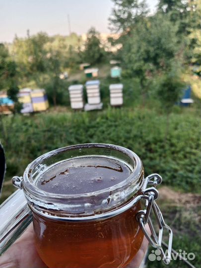 Мёд с разнотравья 2023