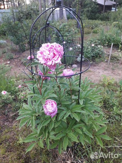 Опоры для растений