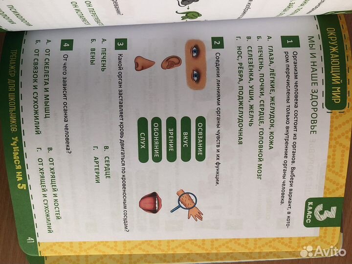 Тренажер для школьников