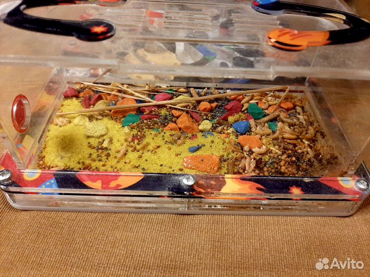 Формикарий б/у без муравьев