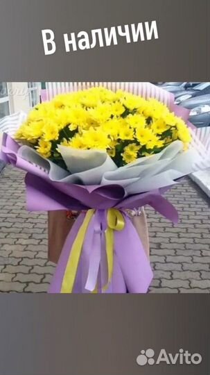 Комнатные растения цветы с доставкой