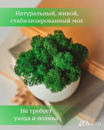 Кашпо вазочка конфетница
