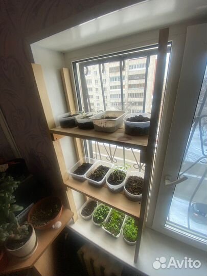 Стеллаж для рассады