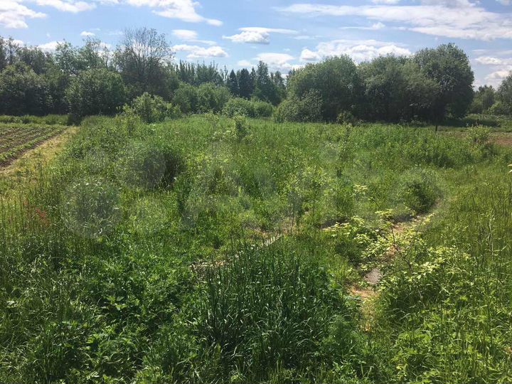 Участок 14,5 сот. (ИЖС)