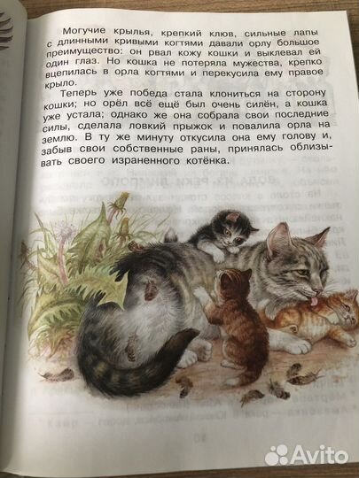 Родничок 3 класс