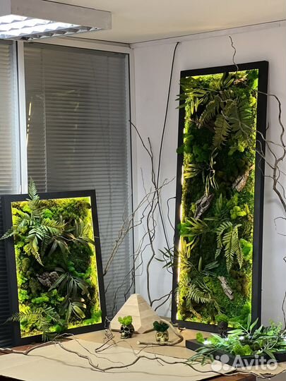 Фитопанели, картины из мха, фитокартины