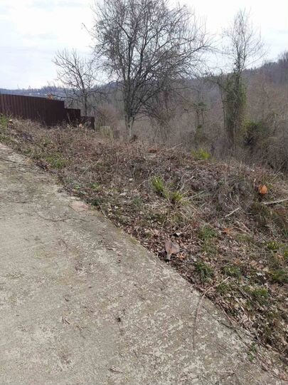 Участок 5,3 сот. (СНТ, ДНП)