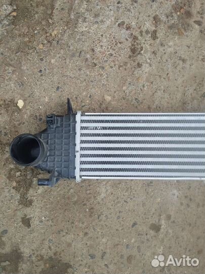 Haval jolion интеркулер