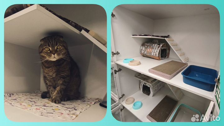 Зоогостиница в аренду