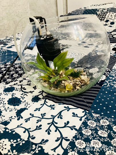 Аквариум 5 л