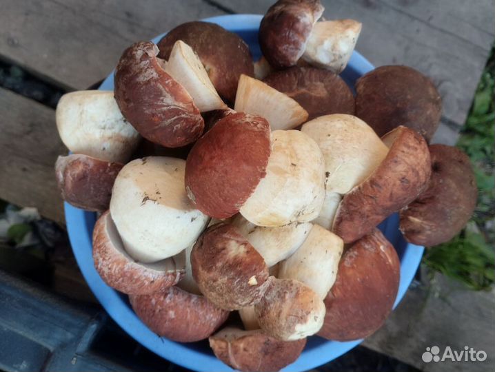 Продукты питания
