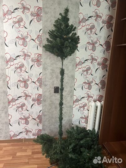 Елка 2 метра