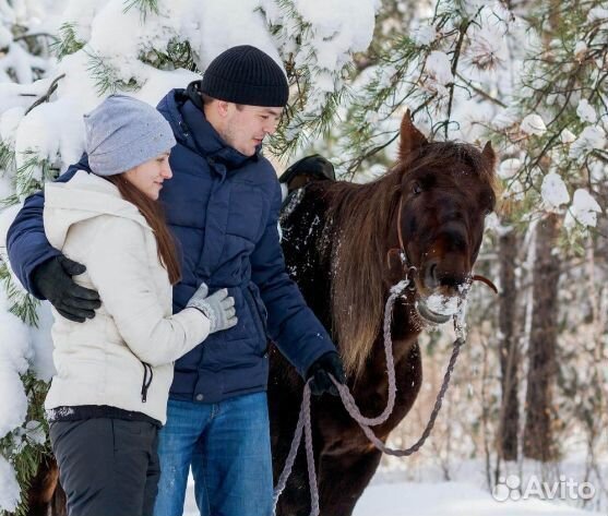 Сертификат на фотосессию. Конная прогулка