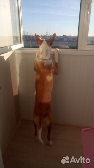 Вязка кабеля