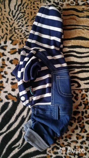 Одежда для мелких пород собак