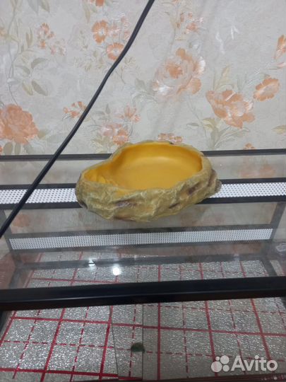 Террариум со всем необходимым