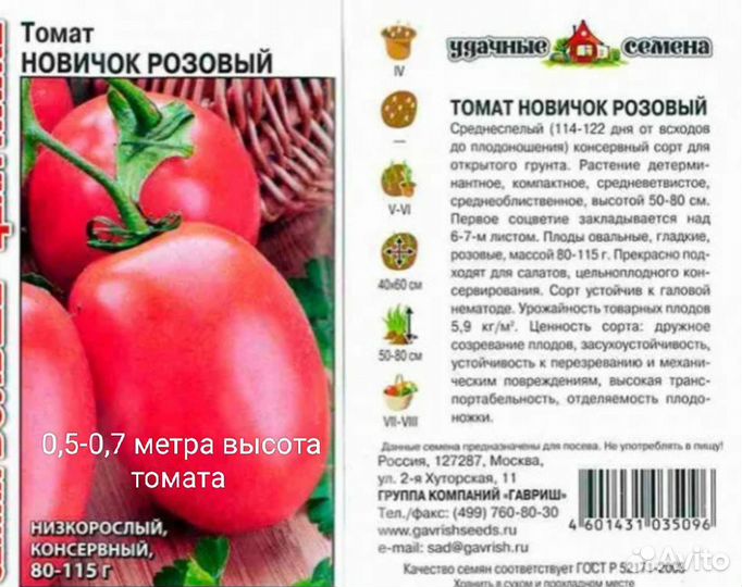 Рассада помидор