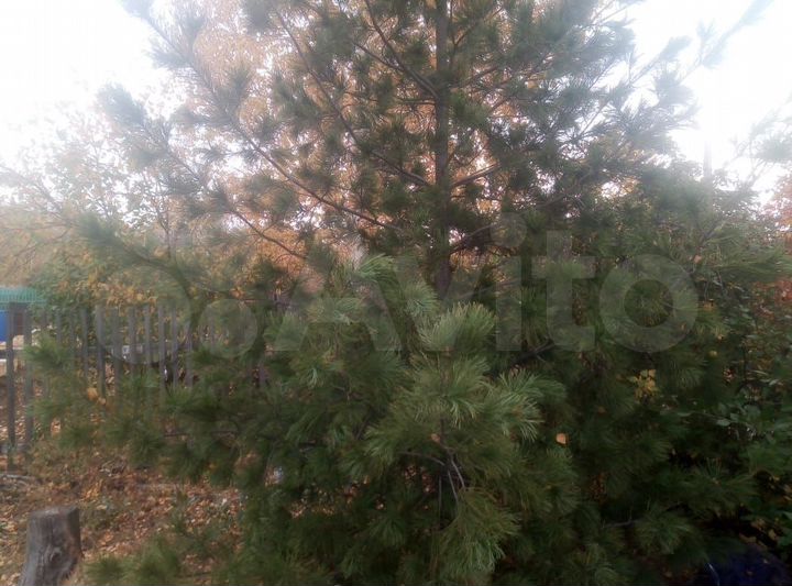 Участок 7 сот. (СНТ, ДНП)