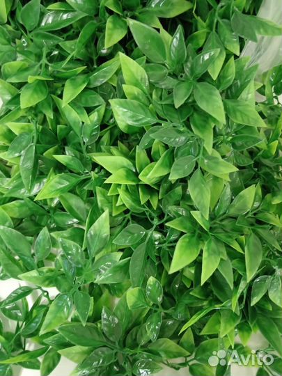 Лист розы универсальный