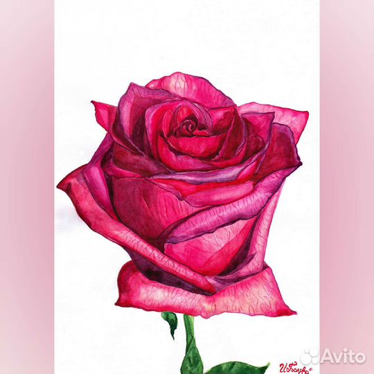 Цветы акварелью Ирис роза орхидея мак Картина