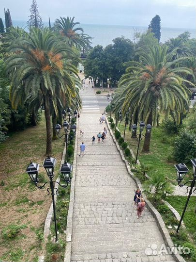 Экскурсии в Абхазию и Сочи ежедневно