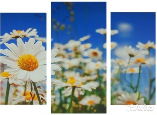 Картины модульные(3мод) на подрамнике.Ромашки