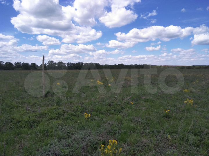 Участок 1,58 га (СНТ, ДНП)