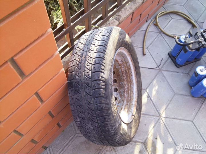 Белшина Artmotion 175/70 R13 100