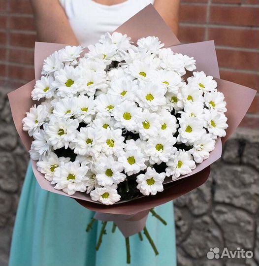 Цветы кустовая хризантема