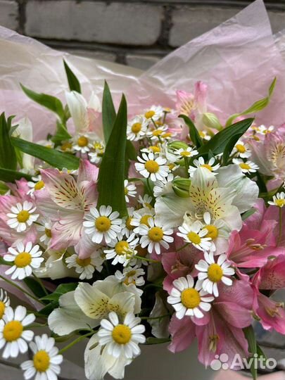 Букет из ромашек и альстромерии