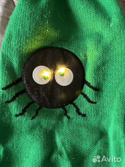 Одежда для животных