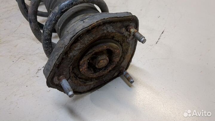 Амортизатор подвески правый передний Toyota Yaris, 2008