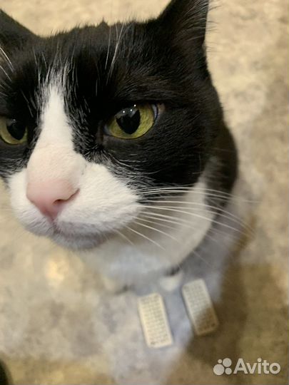 Доска Садху шаг 8 мм