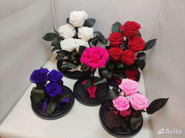 Роза в колбе оптом