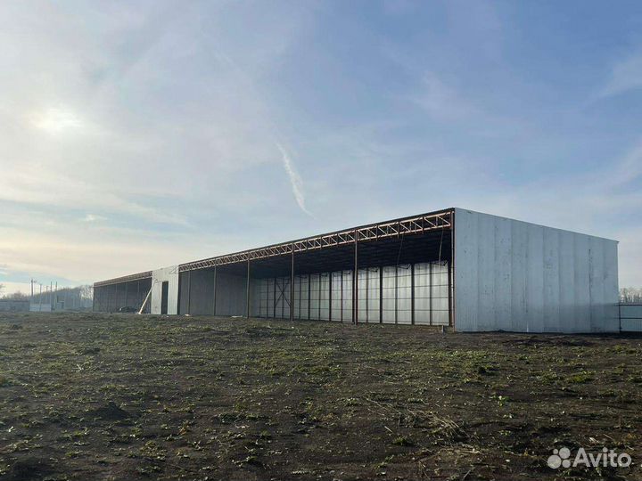 Строительство ангаров и навесов