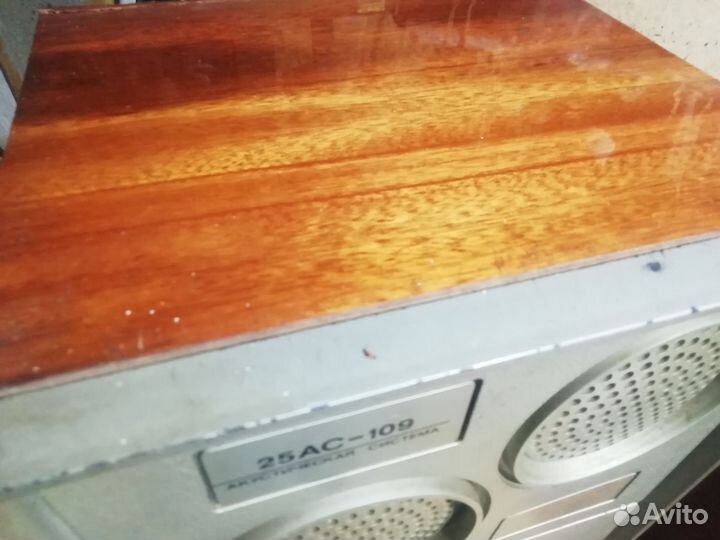 Акустика вега 25 ас 109