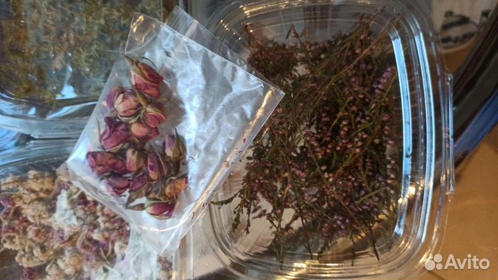 Сухоцветы для творчества