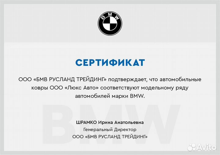 3D Коврики BMW X6 из Экокожи