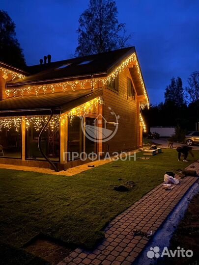 Сочная Элитная Газонная трава с укладкой