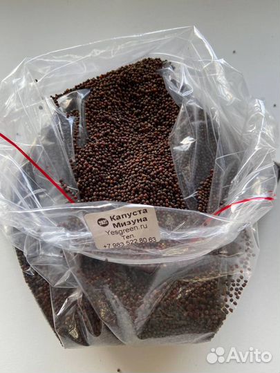 Семена для выращивания микрозелени и проростков