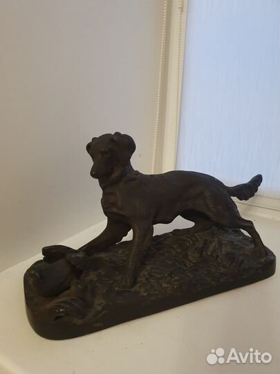 Сеттер на охоте Касли 1910