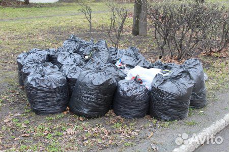 Вывоз мусора с грузчиками, Грузчики