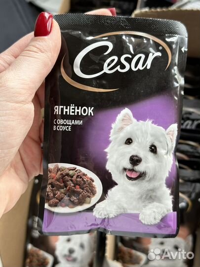 Корм для собак